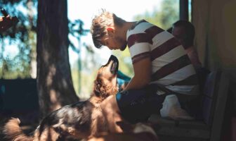 Embracing the Journey of Rescue Dog Rehabilitation