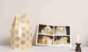 Coping with the Loss of a Beloved Dog