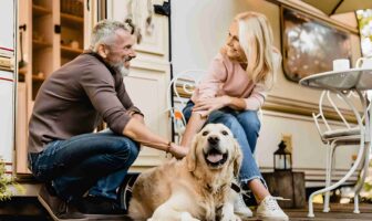 The Ultimate Guide to Traveling with Large Dogs